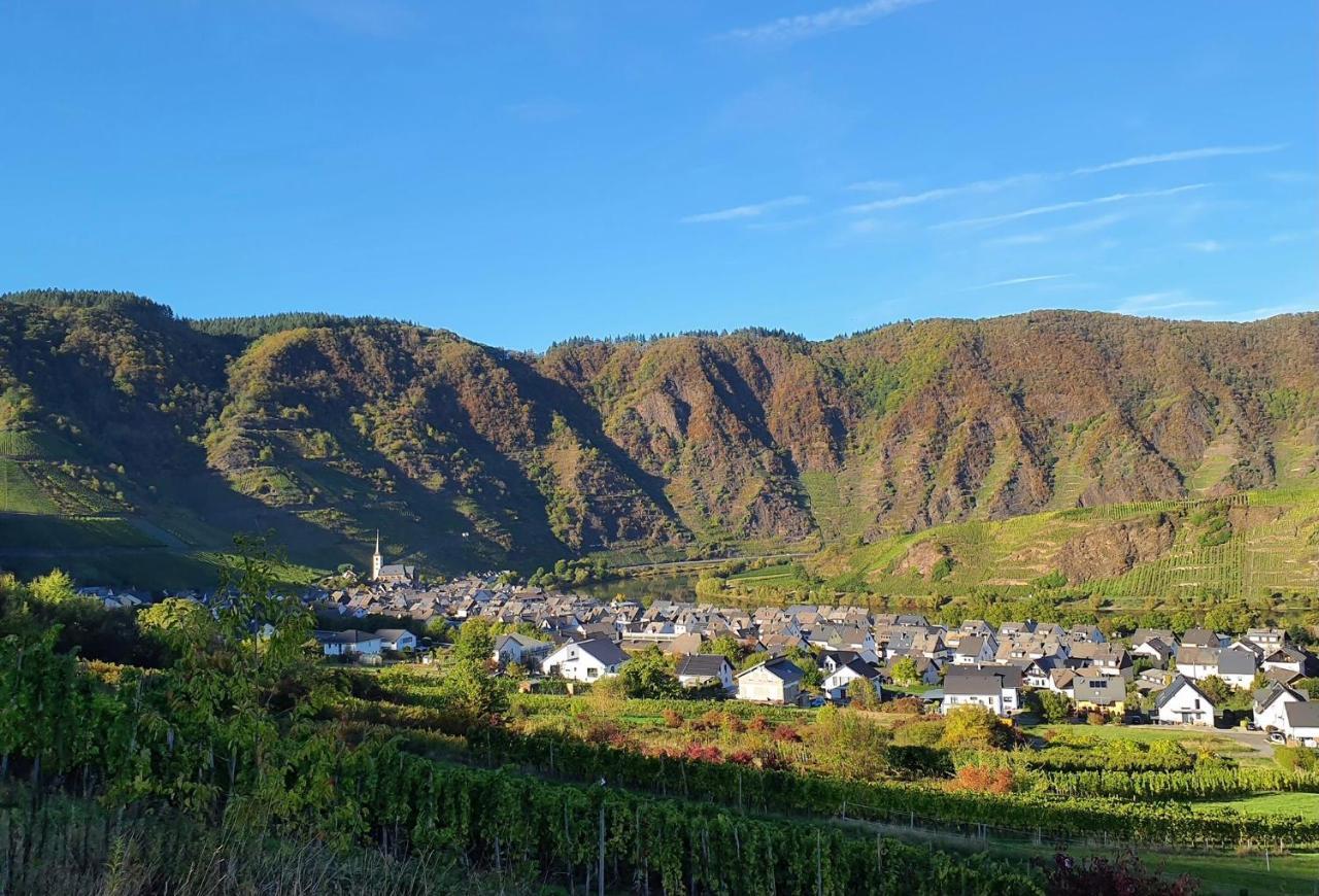 Attraktive Wohnung-Elztalidyll-Zwischen Mosel,Nuerburgring Und Burg Eltz Kollig Екстер'єр фото